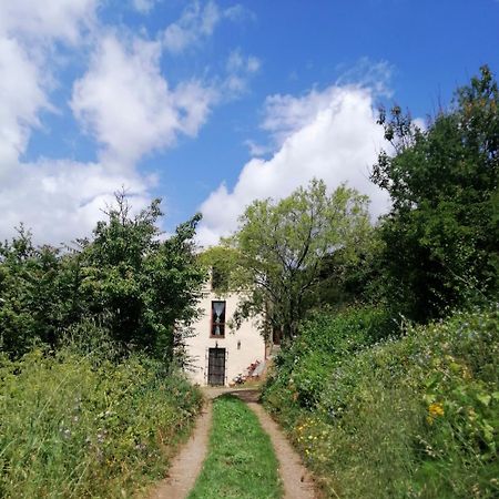 La Peonia Casa Vacanze In Montagna Prato Verde Panorama Stupendo Sardegna Seulo Экстерьер фото