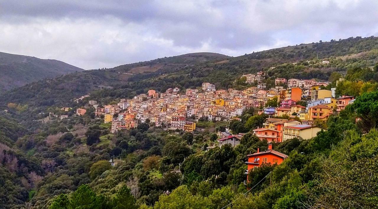 La Peonia Casa Vacanze In Montagna Prato Verde Panorama Stupendo Sardegna Seulo Экстерьер фото