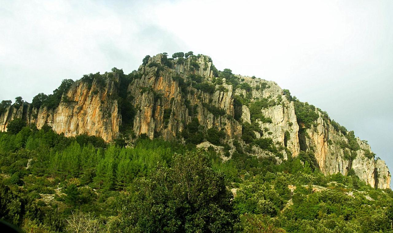 La Peonia Casa Vacanze In Montagna Prato Verde Panorama Stupendo Sardegna Seulo Экстерьер фото