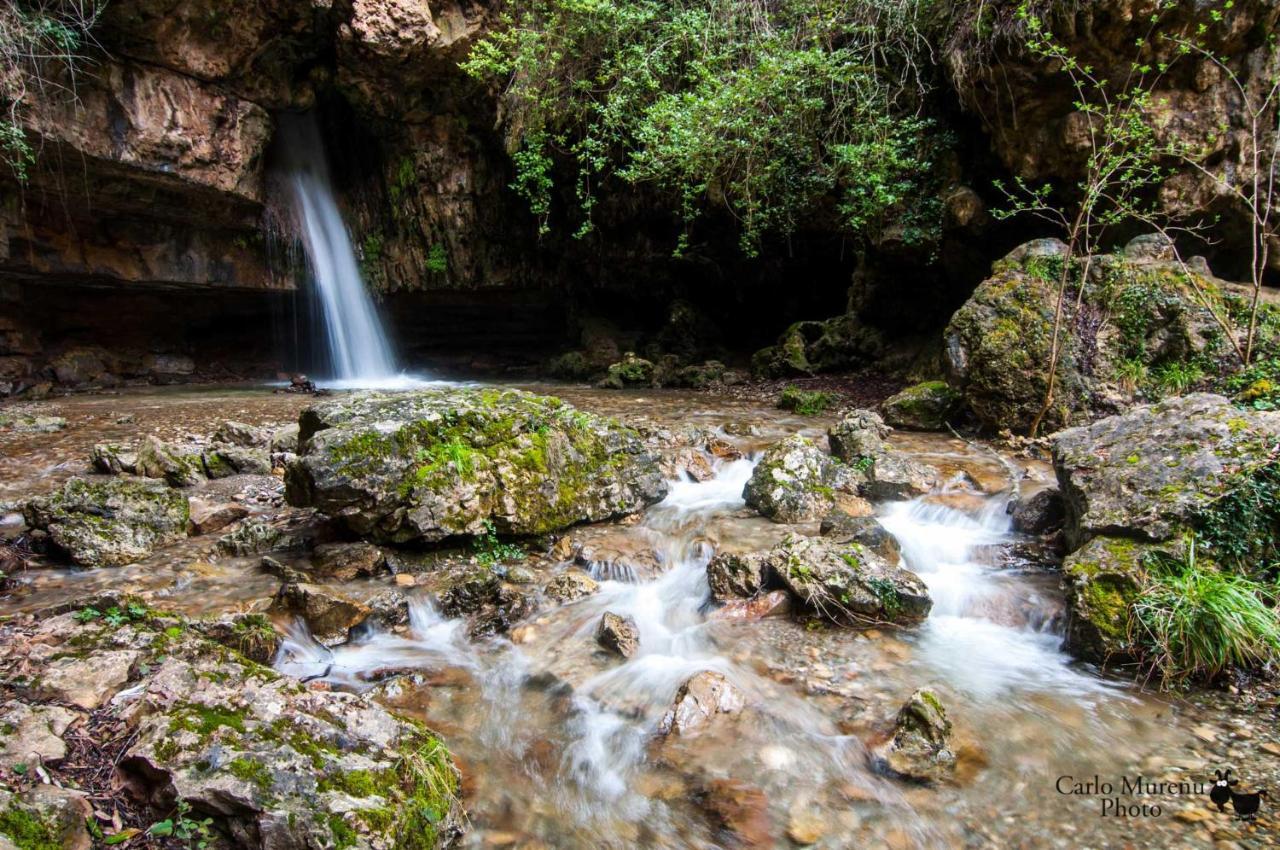 La Peonia Casa Vacanze In Montagna Prato Verde Panorama Stupendo Sardegna Seulo Экстерьер фото