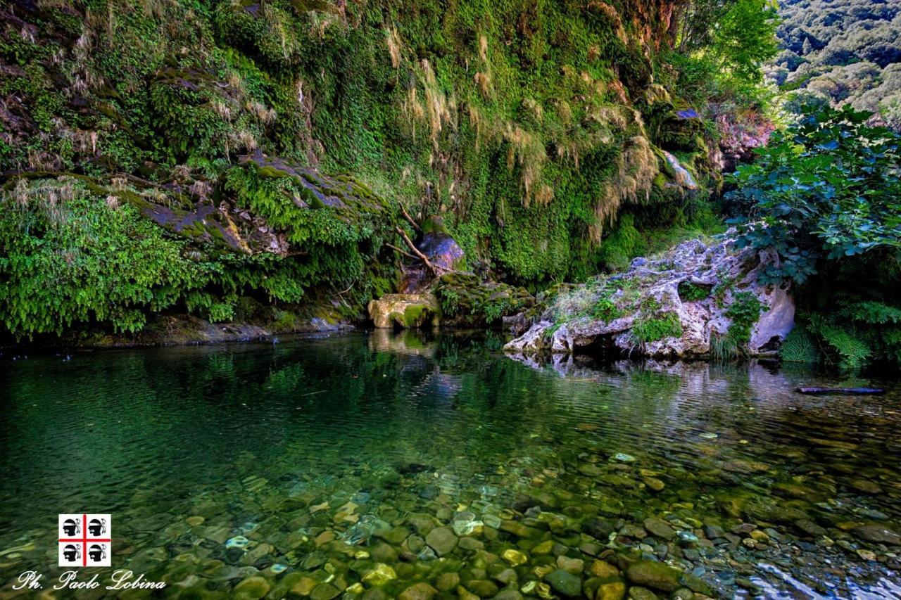 La Peonia Casa Vacanze In Montagna Prato Verde Panorama Stupendo Sardegna Seulo Экстерьер фото